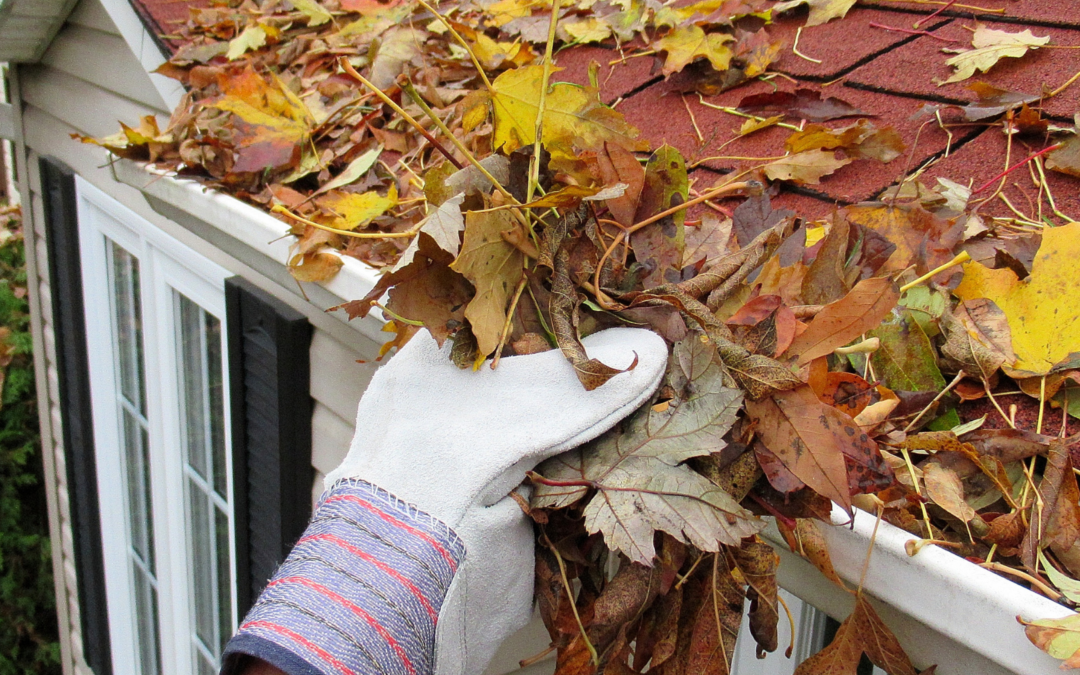 Preparing Your Property for Fall: Maintenance Tips and Seasonal Changes